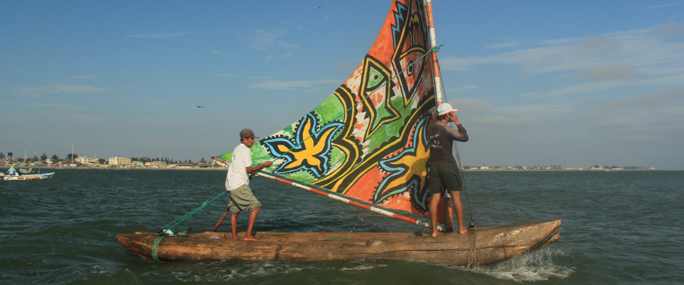 BALSA_1