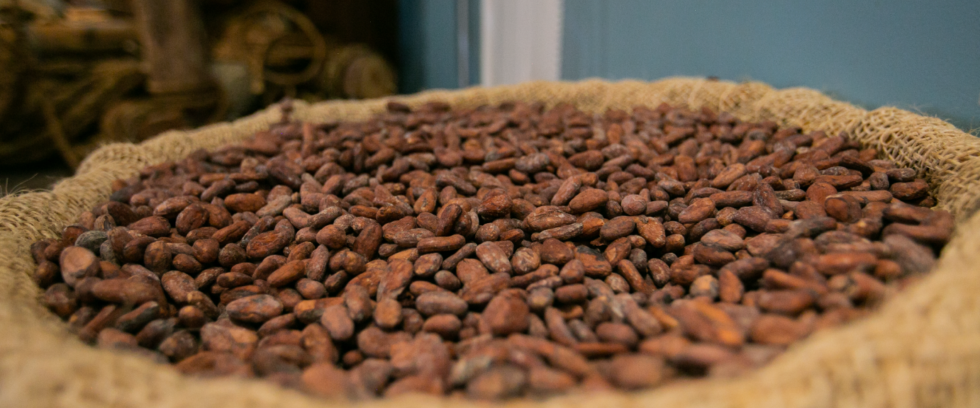 CACAO_3