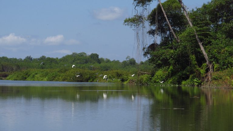 15303774746_fa1125999f_o