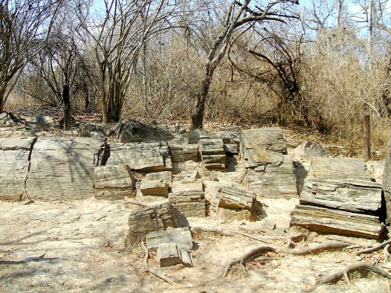 5452145949_658ac6febf_b