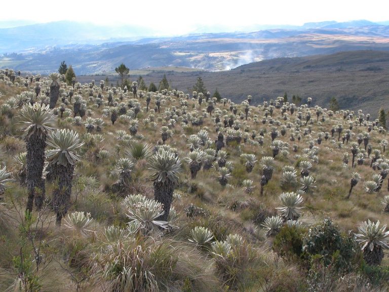 6902118218_23bdd3b9ec_b