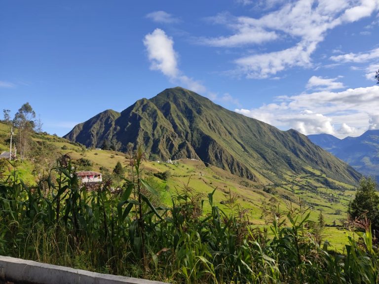 WhatsApp Image 2025-06-25 at 15.19.13